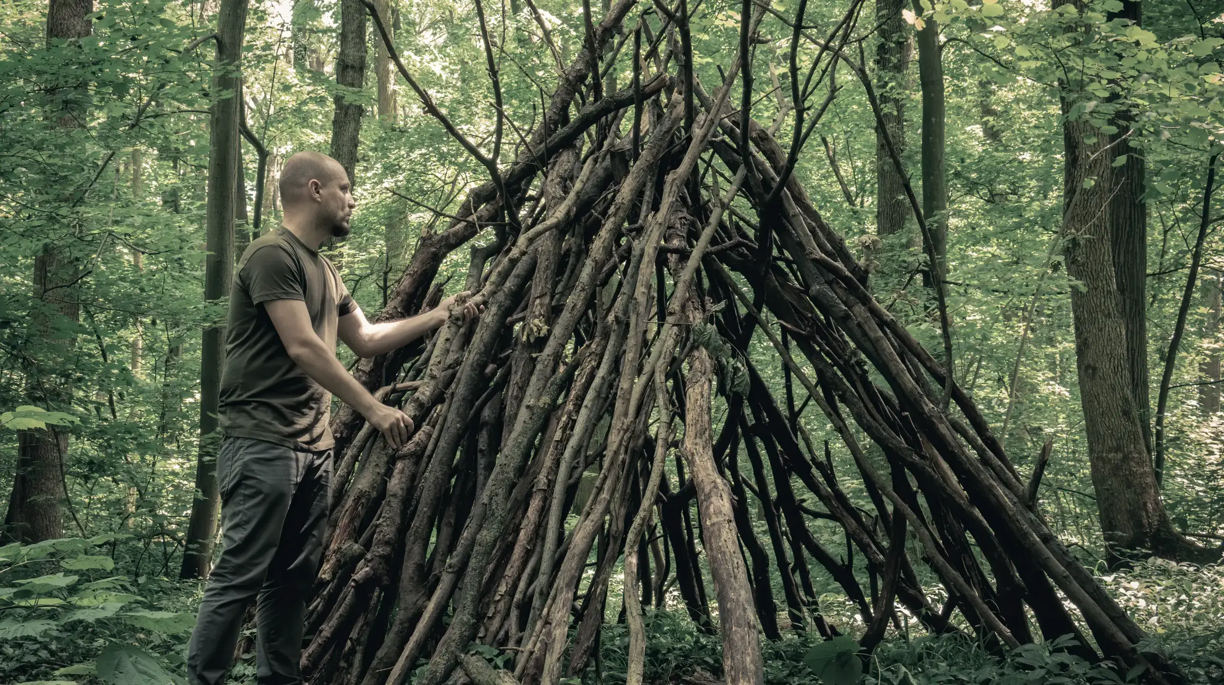 Image d'une cabane dans les bois