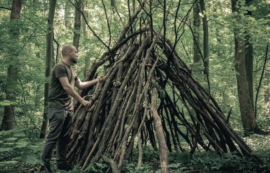 Image d'une cabane dans les bois